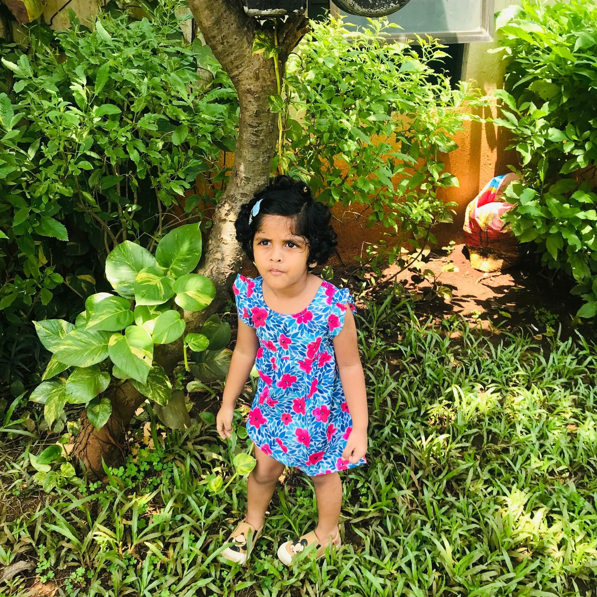 Frock for girls - Blue Pink Flowers Joeycare